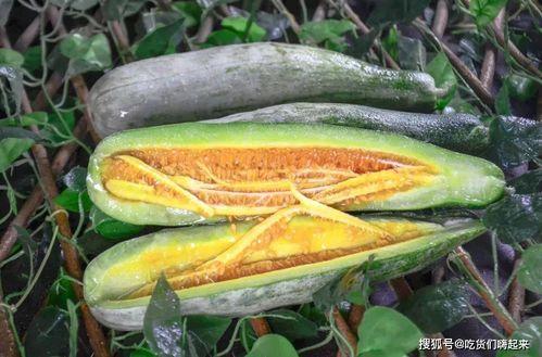 吃网红瓜公众号,吃瓜群众必看，网红瓜背后的真相大揭秘！  第2张