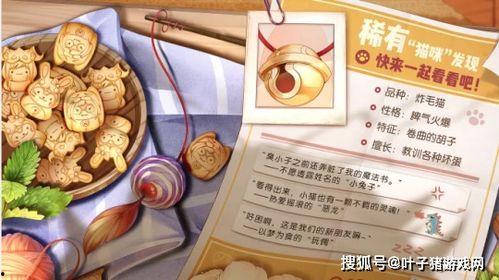 荣耀典藏最新爆料纤歌帝,揭秘全新爆料背后的神秘魅力  第3张